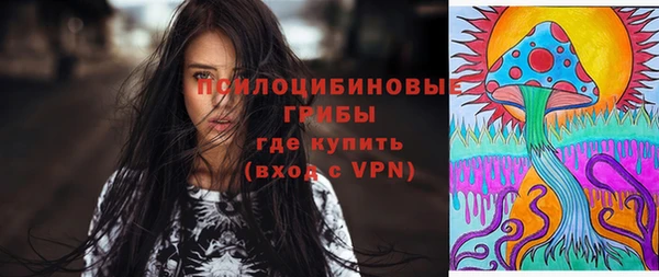 дживик Киренск