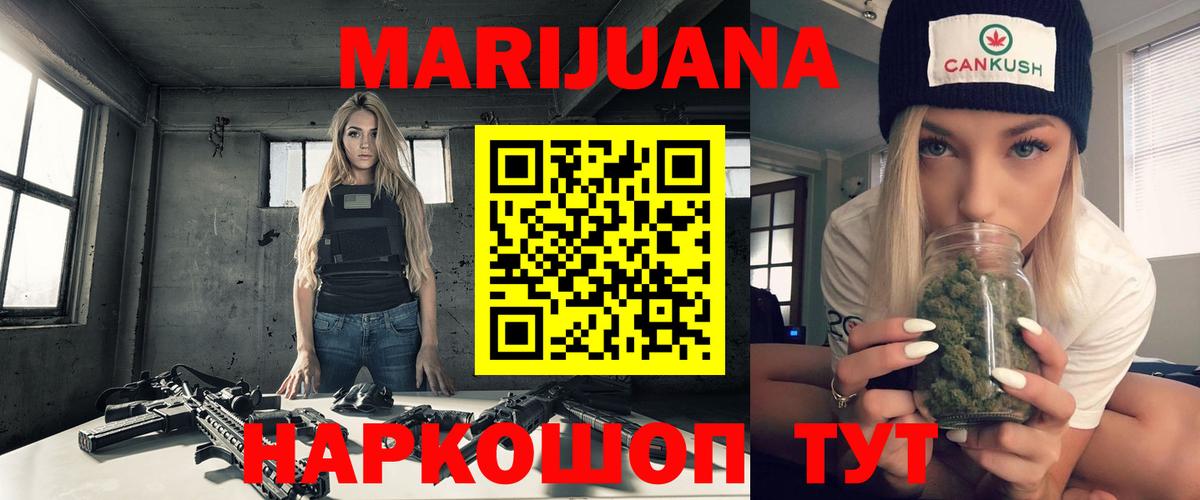 Конопля сатива Ухта